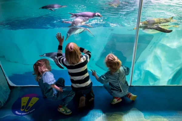 Privado: National Sea Life Centre Entrance Ticket
