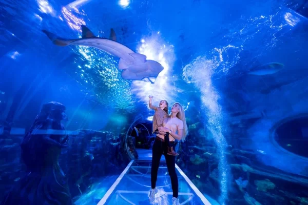 Privado: National Sea Life Centre Entrance Ticket