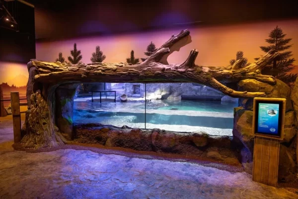 Privado: National Sea Life Centre Entrance Ticket